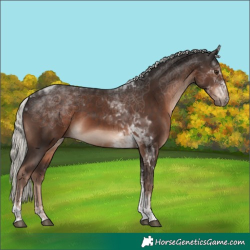 Horse Color:Liver Chestnut Mushroom Tobiano