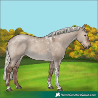 Horse Color:Liver Red Dun Mushroom Tobiano 