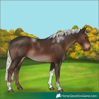 Horse Color:White Spotted Liver Chestnut Mushroom Tobiano 