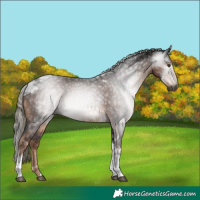 Horse Color:Gray Liver Chestnut Mushroom Tobiano 