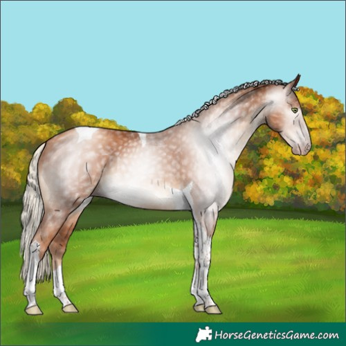 Horse Color:Gray Gold Champagne Mushroom Tobiano Rabicano 