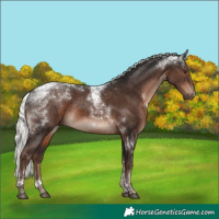 Horse Color:Liver Chestnut Mushroom Tobiano 