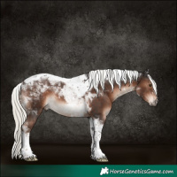 Horse Color:Liver Chestnut Mushroom Tobiano