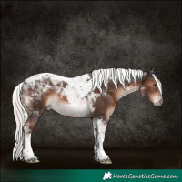 Horse Color:Liver Chestnut Mushroom Tobiano 