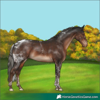 Horse Color:Liver Chestnut Tobiano Varnish 
