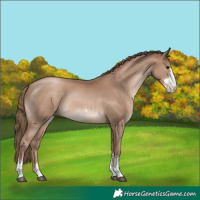 Horse Color:Black Pearl Sabino Rabicano 