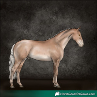 Horse Color:Silver Black Pearl Rabicano 