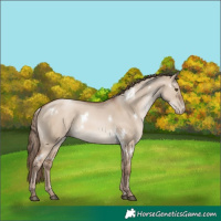 Horse Color:White Spotted Grullo Pearl 