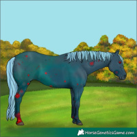 Horse Color:ERROR: UNKNOWN ANOMALY