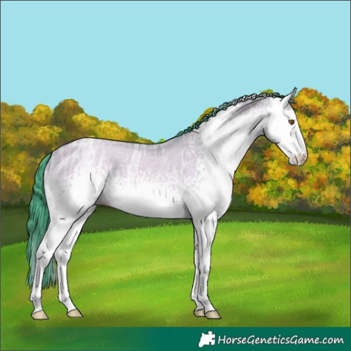 Horse Color:Watercolor White Spotted Classic Champagne Ice Dun 