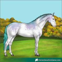 Horse Color:Watercolor White Spotted Brown Dun 