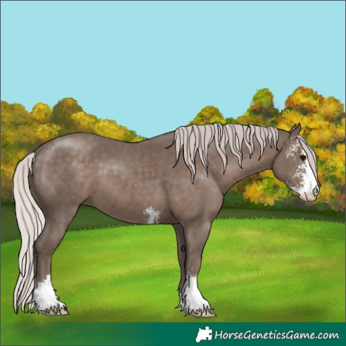 Horse Color:Silver Black Sabino 
