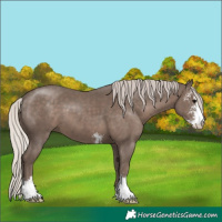 Horse Color:Silver Black Sabino 