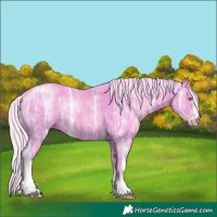 Horse Color:Watercolor Silver Classic Champagne Ice Sabino Tobiano 