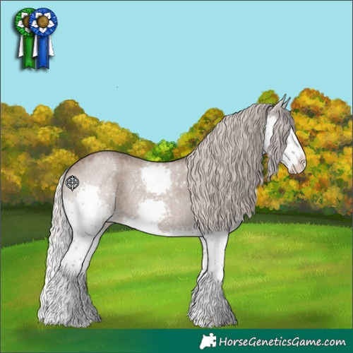 Horse Color:Silver Grullo Roan Sabino Splash 
