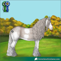 Horse Color:Silver Grullo Roan Sabino Splash