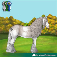 Horse Color:Silver Grullo Roan Sabino Splash