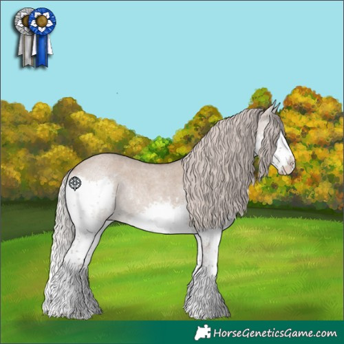 Horse Color:Silver Grullo Roan Sabino Splash
