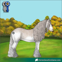 Horse Color:Silver Grullo Roan Sabino Splash