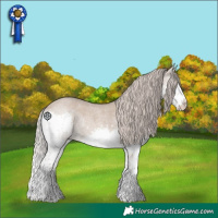 Horse Color:Silver Grullo Roan Sabino Splash 