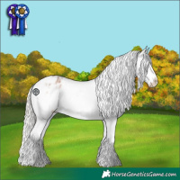 Horse Color:White Spotted Silver Bay Roan Dun Splash Appaloosa 