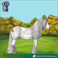 Horse Color:White Spotted Silver Grullo Roan Splash