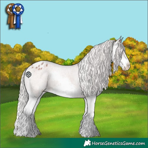 Horse Color:Silver Brown Roan Sabino Splash Appaloosa 