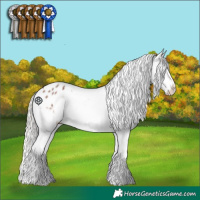 Horse Color:Silver Brown Roan Sabino Splash Appaloosa 