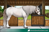 Horse Color:Chestnut Splash Varnish 