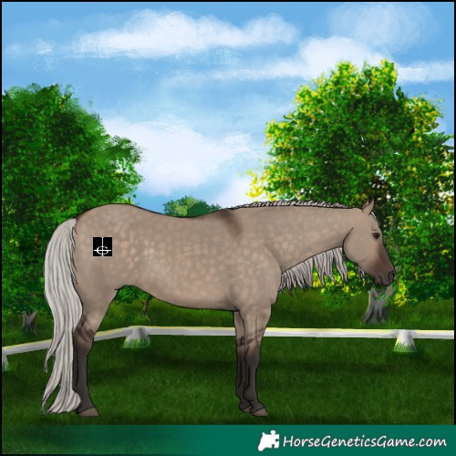Horse Color:Silver Brown Dun