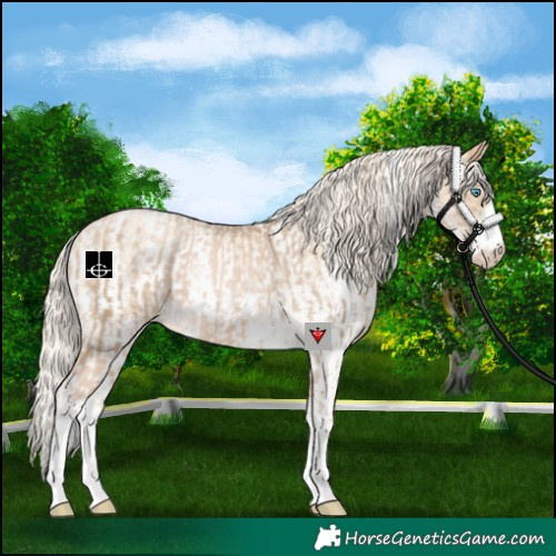 Horse Color:Chocolate Palomino Pearl Sabino Varnish Rabicano and Palomino Pearl Sabino Varnish Rabicano