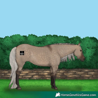 Horse Color:Silver Brown Dun 
