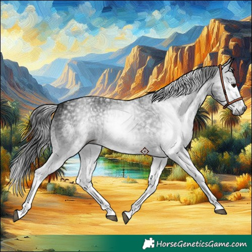 Horse Color:Gray White Spotted Black  and Gray White Spotted Black Rabicano 