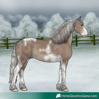 Horse Color:Silver Grullo Tobiano Frame 