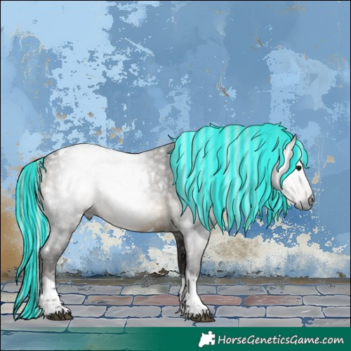 Horse Color:Gray Painted White Spotted Silver Brown Tobiano 