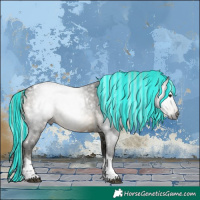 Horse Color:Gray Painted White Spotted Silver Brown Tobiano 