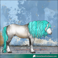 Horse Color:Gray Painted White Spotted Silver Brown Tobiano 