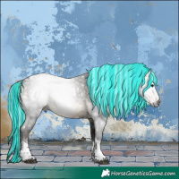 Horse Color:Gray Painted White Spotted Silver Brown Tobiano 