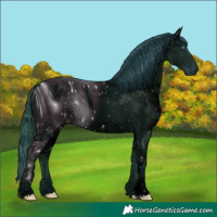 Horse Color:ERROR: UNKNOWN ANOMALY