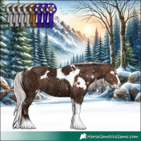 Horse Color:White Spotted Silver Black Ice Splash Tobiano