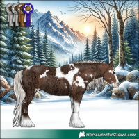 Horse Color:White Spotted Silver Black Ice Splash Tobiano 