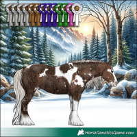 Horse Color:White Spotted Silver Black Ice Splash Tobiano 