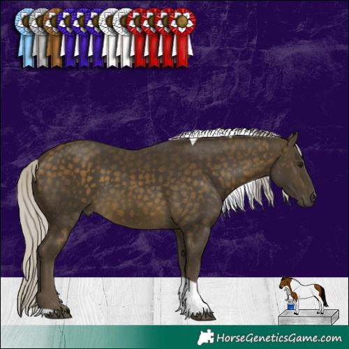 Horse Color:Silver Buckskin Tobiano 