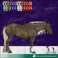 Horse Color:Silver Buckskin Tobiano 