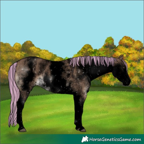 Horse Color:Void Painted White Spotted Liver Red Dun 