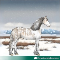 Horse Color:White Spotted Silver Buckskin Ice Dun 