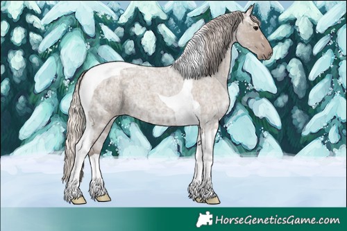 Horse Color:Silver Grullo Ice Roan Tobiano