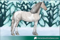 Horse Color:Silver Grullo Ice Roan Tobiano