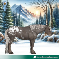 Horse Color:White Spotted Silver Black Appaloosa Rabicano