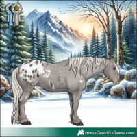 Horse Color:White Spotted Silver Black Appaloosa Rabicano 